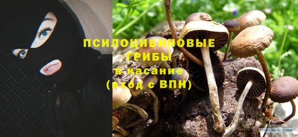 каннабис Бородино