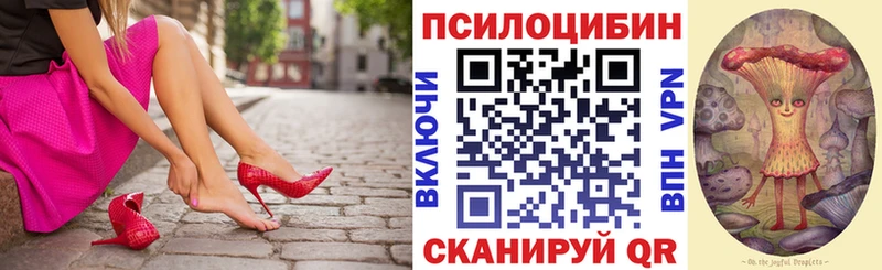 Галлюциногенные грибы мицелий  купить наркоту  Новое Девяткино 