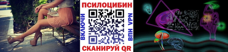 Псилоцибиновые грибы Psilocybe Новое Девяткино